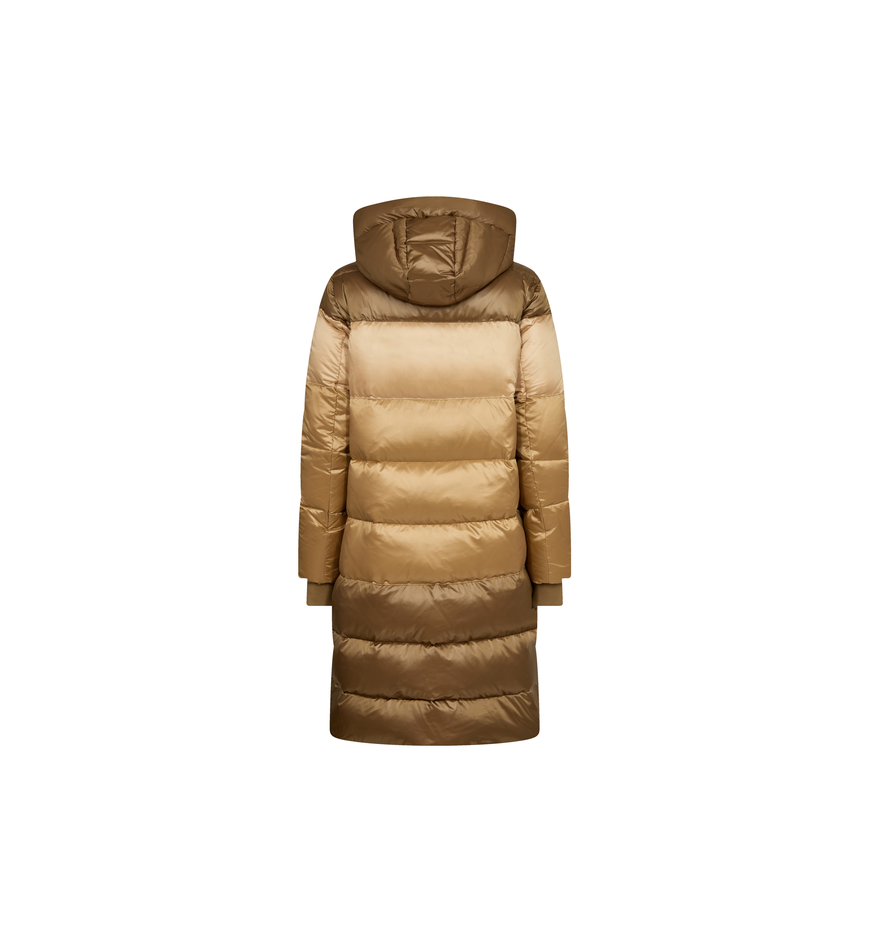 Packlshot / Gold / Back